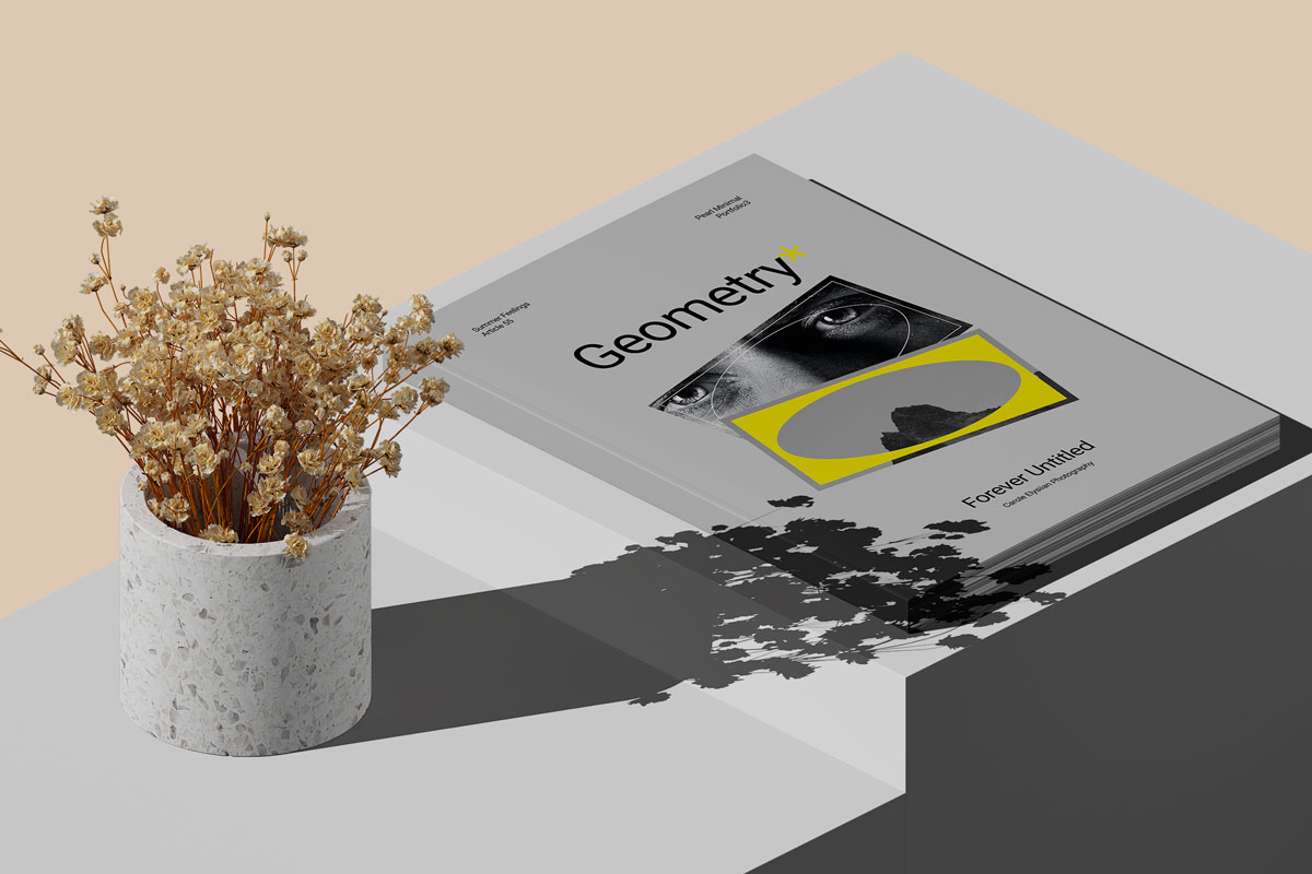 18款现代时尚A4画册杂志设计展示PS贴图样机模板套件 Geometry – Magazine Mockup Kit插图3 18款现代时尚A4画册杂志设计展示PS贴图样机模板套件 Geometry – Magazine Mockup Kit插图3