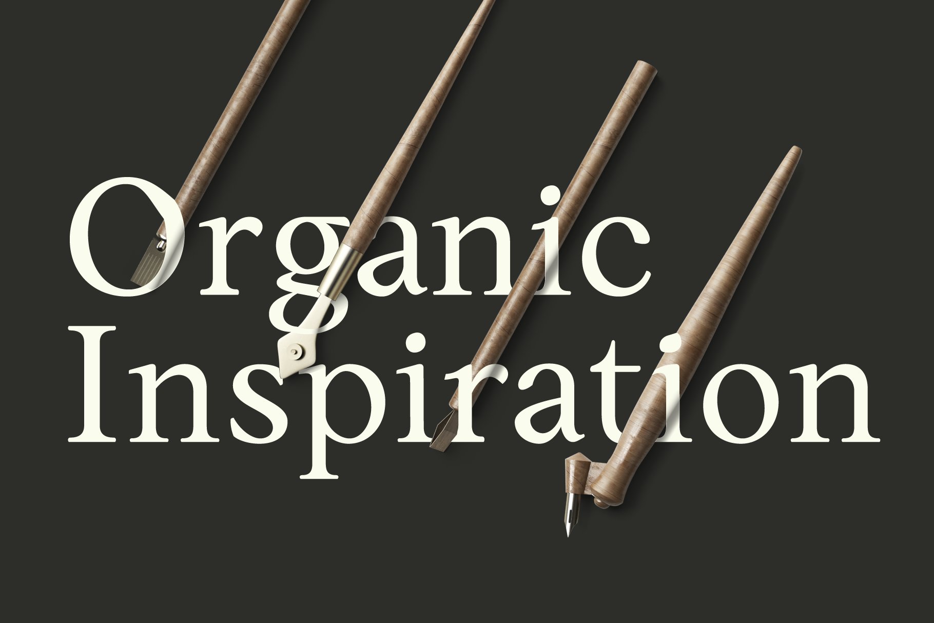 优雅时尚现代品牌画册Logo标题衬线英文字体设计素材 Anko Serif Font Family插图3