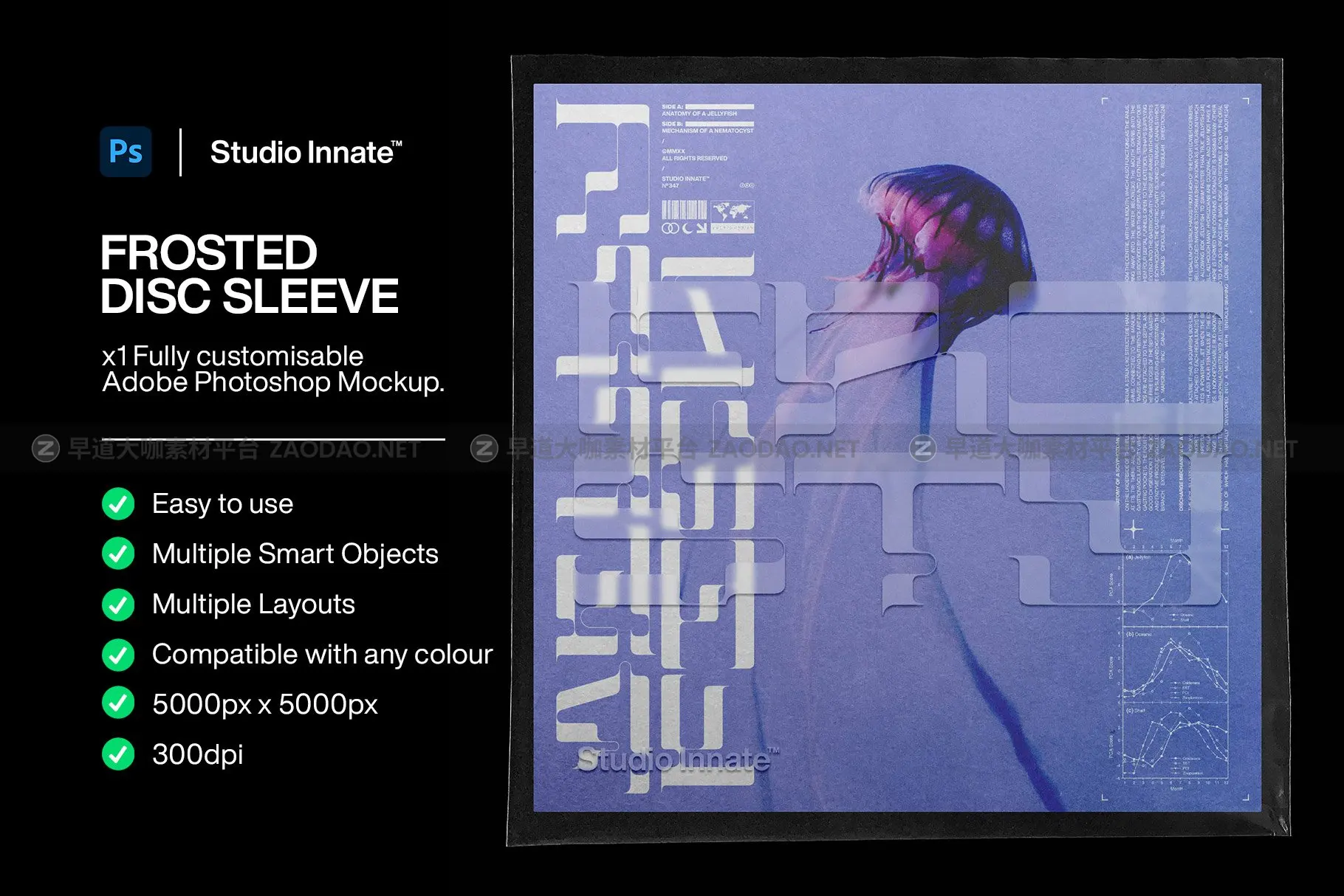 潮流磨砂音乐专辑CD光盘包装纸袋贴纸设计展示贴图样机模板素材 Studio Innate – Frosted Disc Sleeve插图1