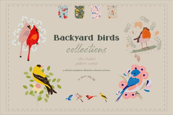 可爱鸟类手绘剪贴画矢量设计素材合集 Backyard Birds Collections