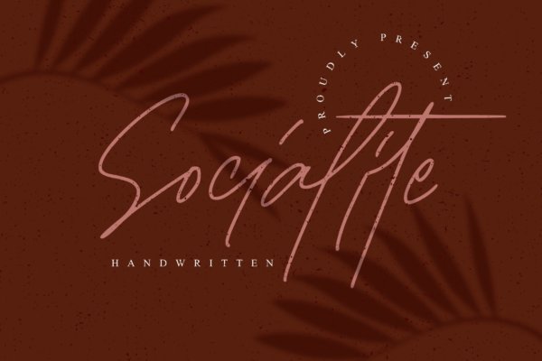 现代时尚海报标题品牌徽标Logo设计手写英文字体素材 Socialite Font