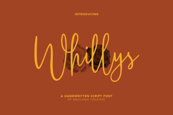 时尚杂志标题品牌徽标Logo手写英文字体设计素材 Whillys Font