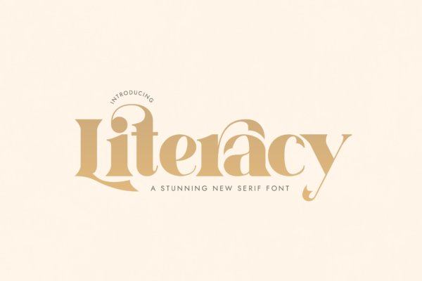 现代时尚标题Logo设计粗体衬线英文字体下载 Literacy Font