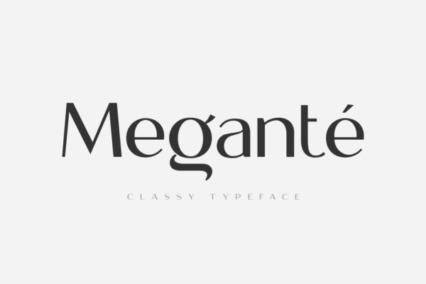 现代优雅画册标题徽标Logo设计无衬线英文字体素材 Megante – Classy Font