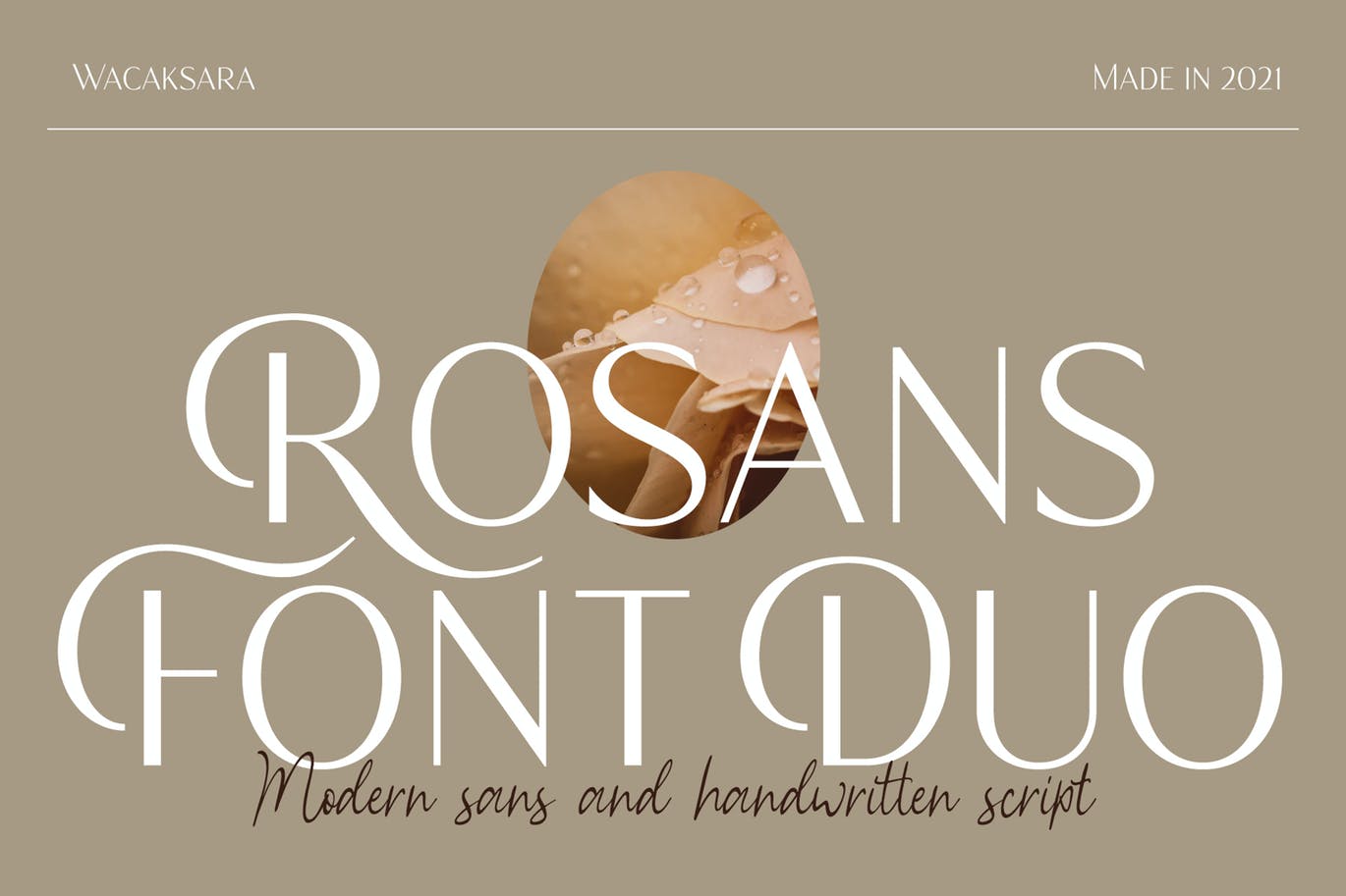 时尚优雅画册杂志标题Logo设计无衬线英文字体素材 Rosans – Font Duo插图