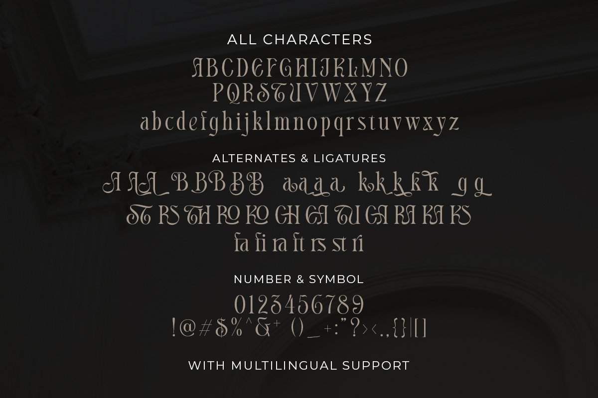 现代优雅杂志海报标题徽标Logo设计衬线英文字体素材 APPEARS – Display Serif插图3 现代优雅杂志海报标题徽标Logo设计衬线英文字体素材 APPEARS – Display Serif插图3