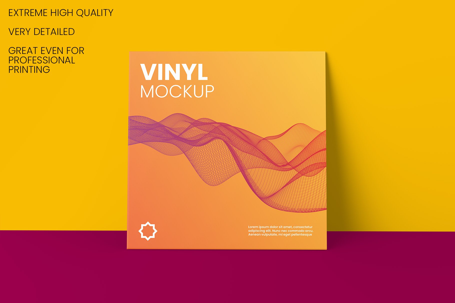 13个黑胶唱片封套封面设计样机psd模板 vinyl record mockup v.
