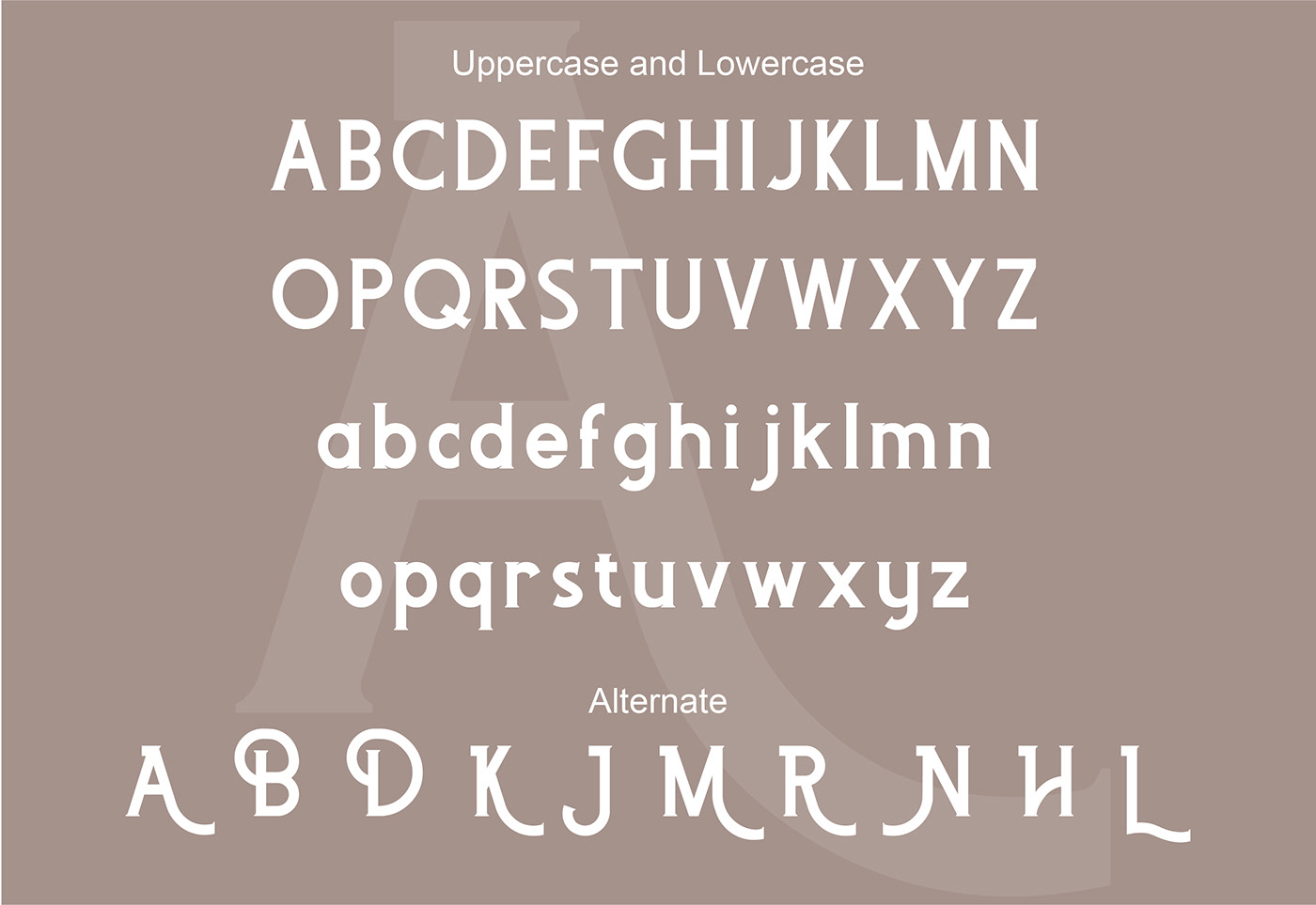 现代奢华品牌Logo海报标题设计衬线英文字体素材 Adikara Font插图6