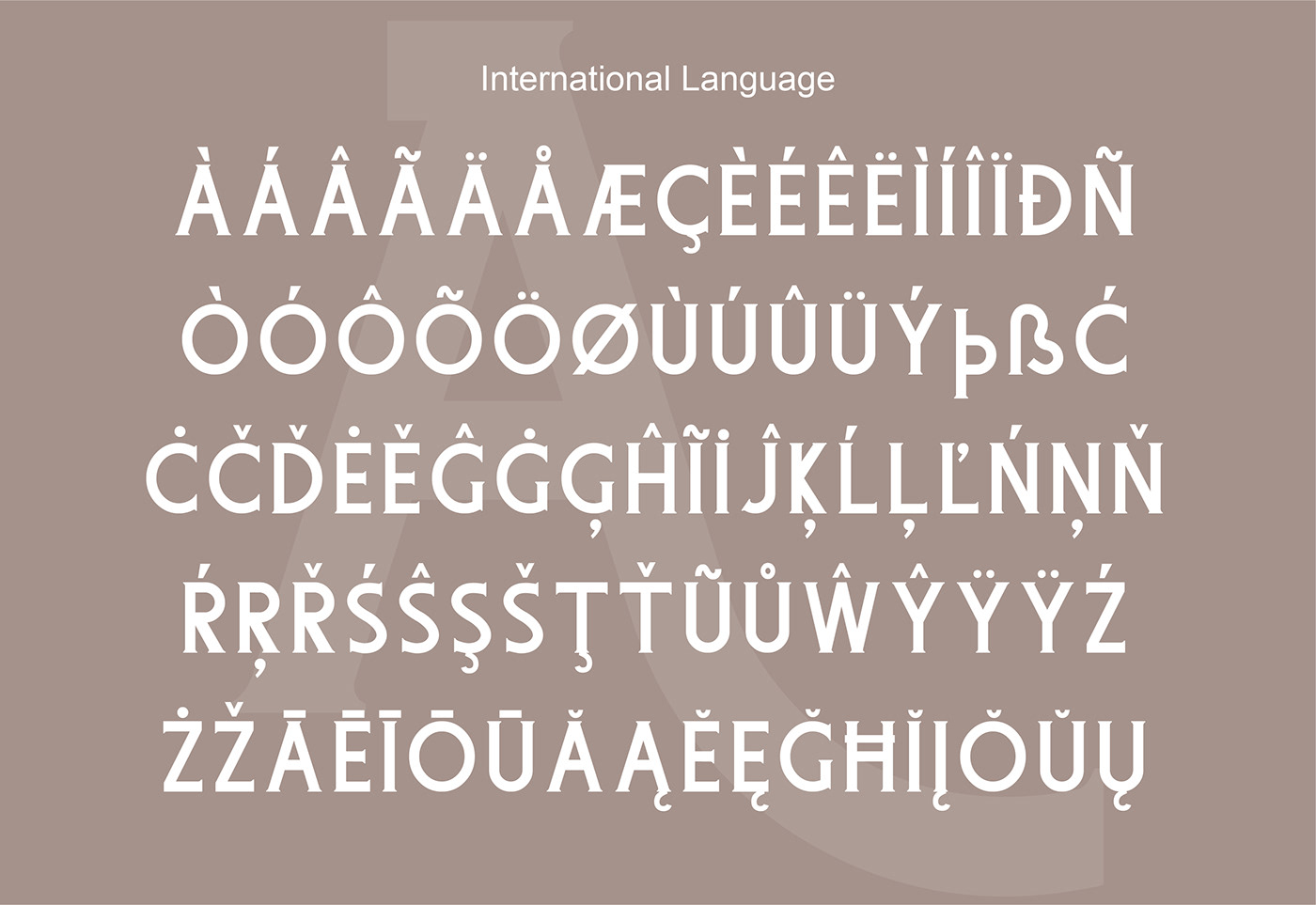现代奢华品牌Logo海报标题设计衬线英文字体素材 Adikara Font插图7