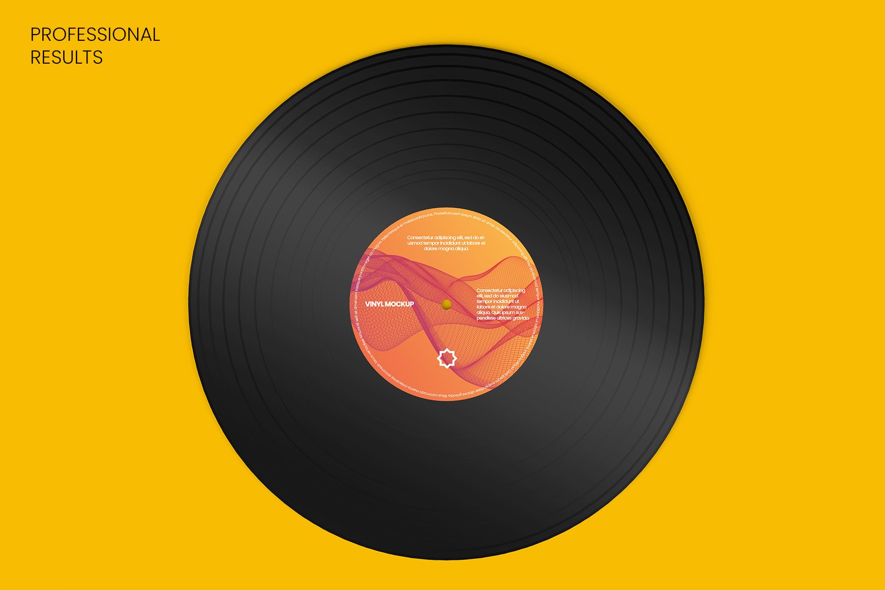 13个黑胶唱片封套封面设计样机psd模板 vinyl record mockup v.