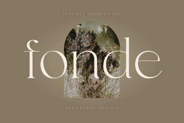 时尚优雅海报标题徽标Logo衬线英文字体设计素材 Fonde – Elegant Chic Font