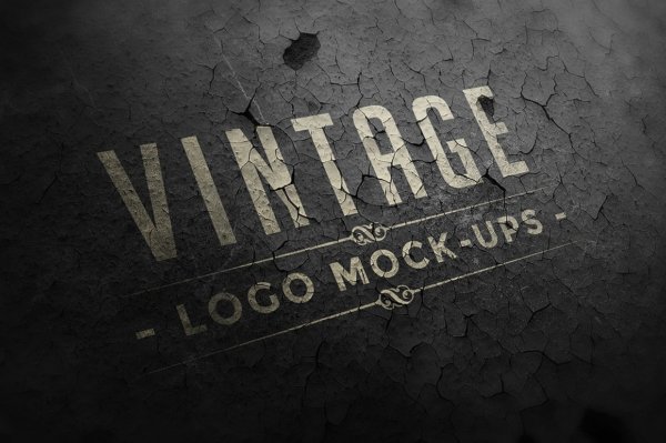 12个复古做旧徽标Logo设计展示样机模板 Vintage Logo Mock-ups