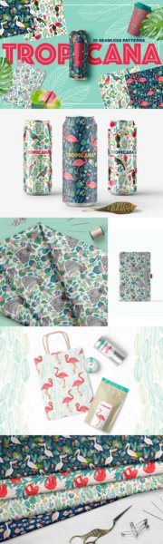 多彩热带动物鸟类花卉叶子无缝隙图案矢量设计素材 TROPICANA, 31 Seamless Patterns