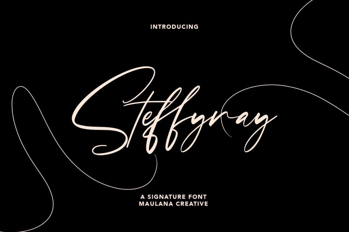 精美品牌博客徽标logo设计手写英文字体素材 Steffyray Signature Font插图