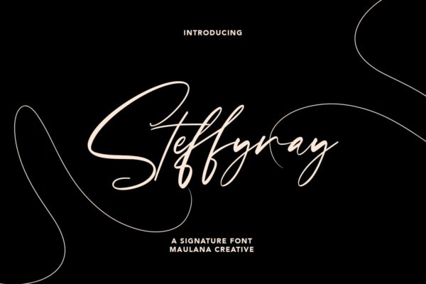 精美品牌博客徽标logo设计手写英文字体素材 Steffyray Signature Font