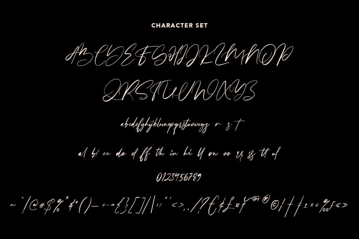 精美品牌博客徽标logo设计手写英文字体素材 Steffyray Signature Font插图10