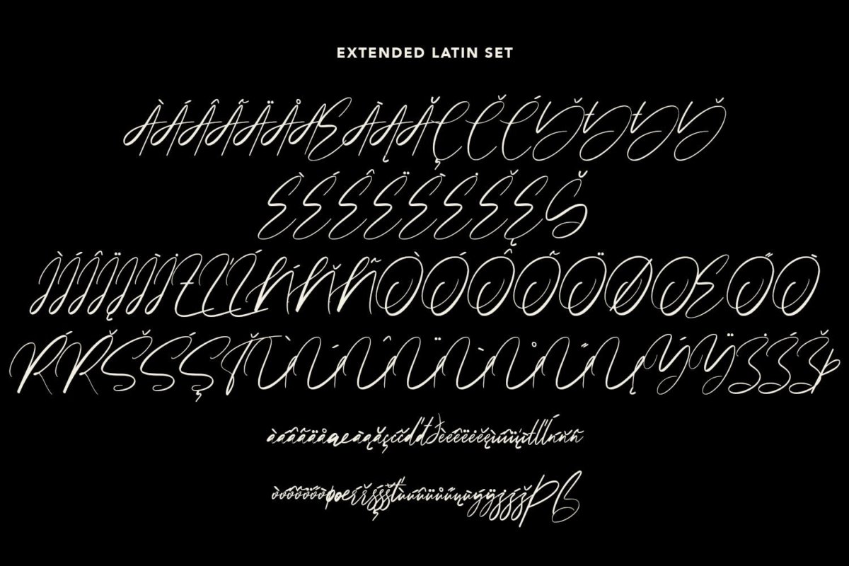 精美品牌博客徽标logo设计手写英文字体素材 Steffyray Signature Font插图11