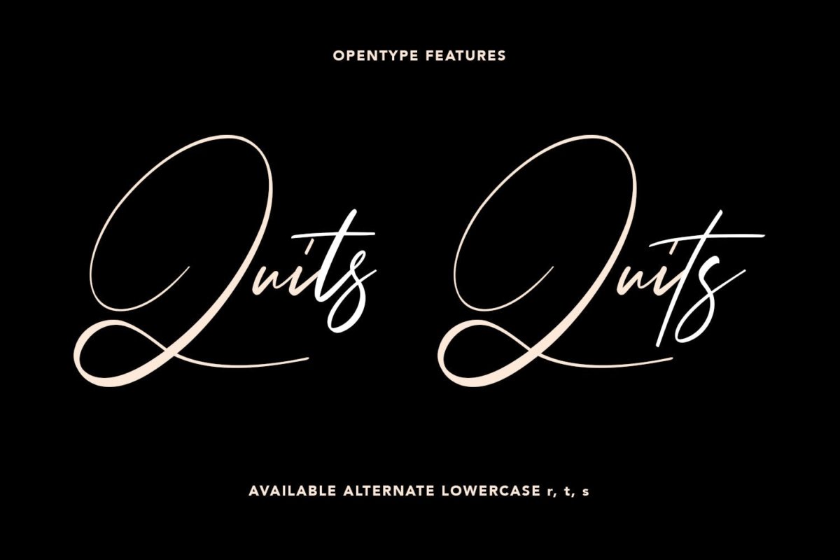 精美品牌博客徽标logo设计手写英文字体素材 Steffyray Signature Font插图6