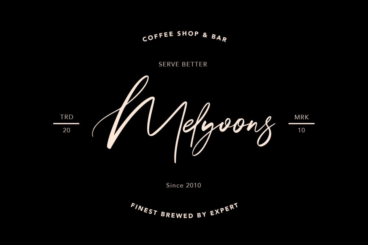 精美品牌博客徽标logo设计手写英文字体素材 Steffyray Signature Font插图8