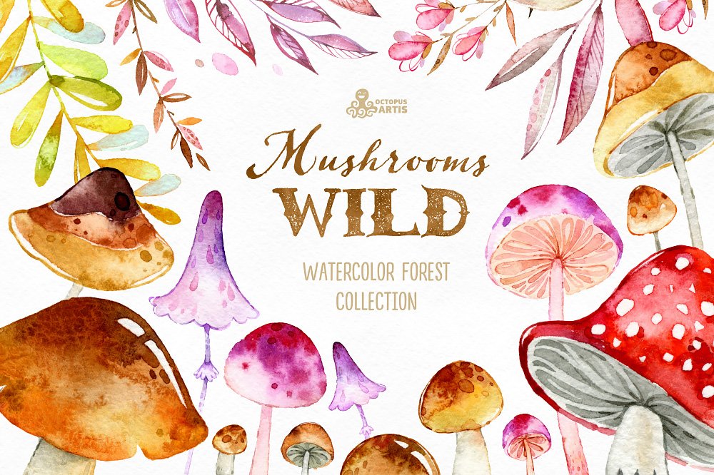 神奇野生森林蘑菇手绘水彩画PNG透明背景图片素材 Wild Mushrooms. Forest Collection插图