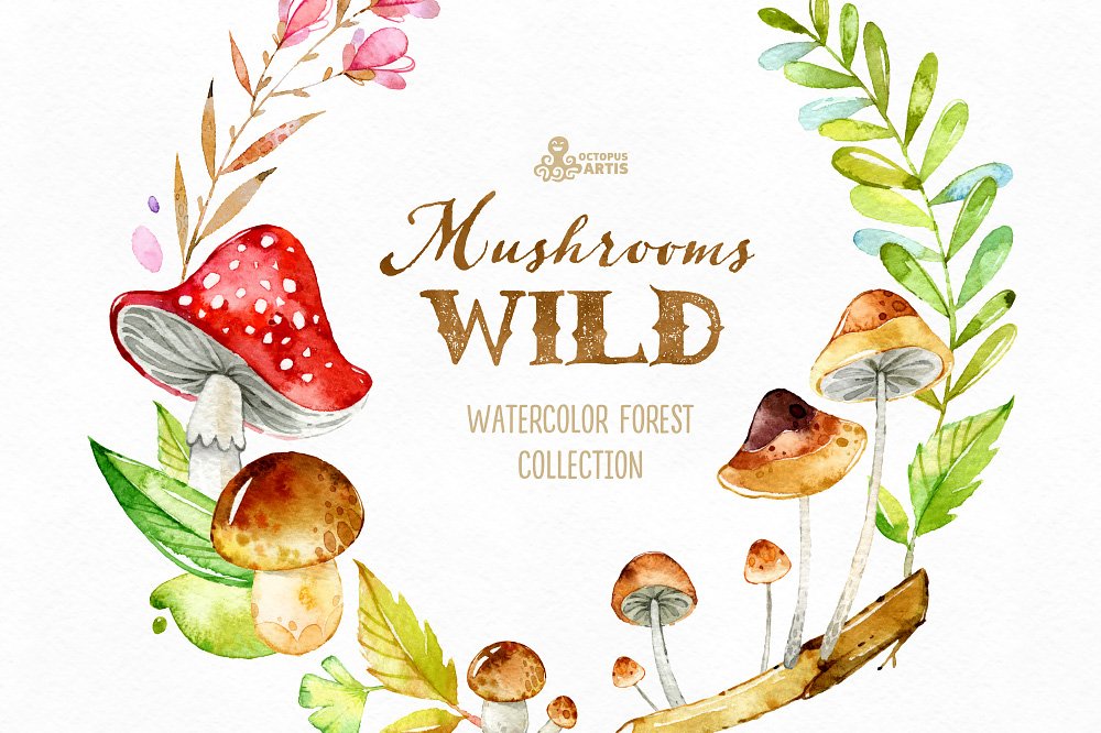 神奇野生森林蘑菇手绘水彩画PNG透明背景图片素材 Wild Mushrooms. Forest Collection插图3