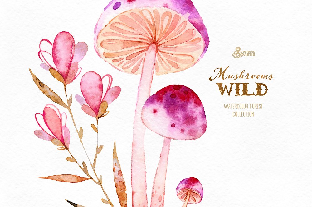 神奇野生森林蘑菇手绘水彩画PNG透明背景图片素材 Wild Mushrooms. Forest Collection插图4