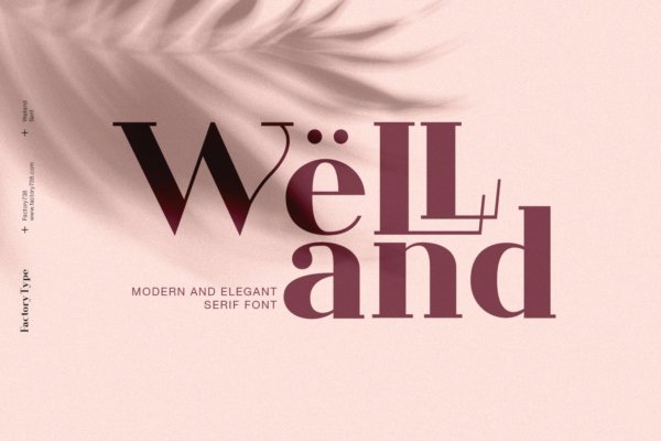 复古优雅杂志海报徽标logo设计衬线英文字体素材 Welland