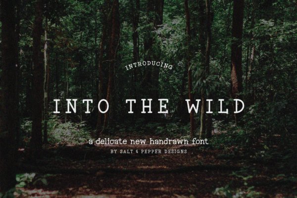 复古品牌商标徽标logo设计衬线英文字体素材 Into the Wild Font