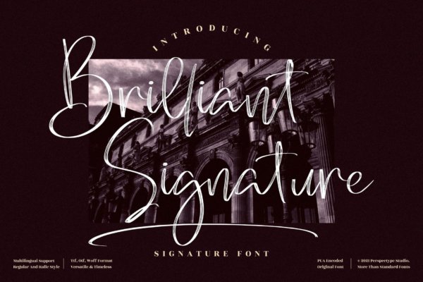 创意品牌海报社交媒体衬线英文字体素材 Brilliant Signature Signature LS