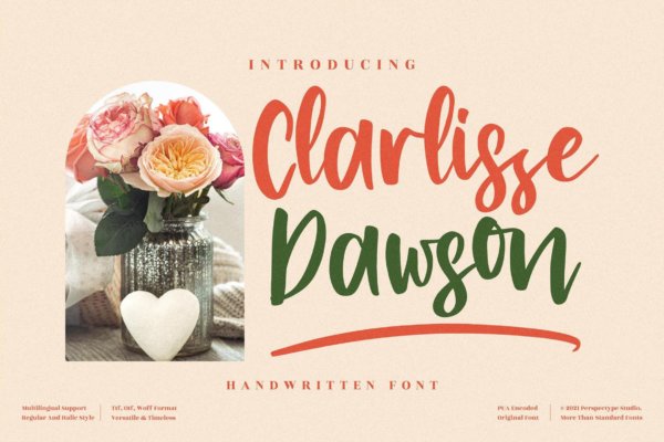 现代优雅杂志海报徽标logo设计手写英文字体素材 Clarlisse Dawson Handwritten LS