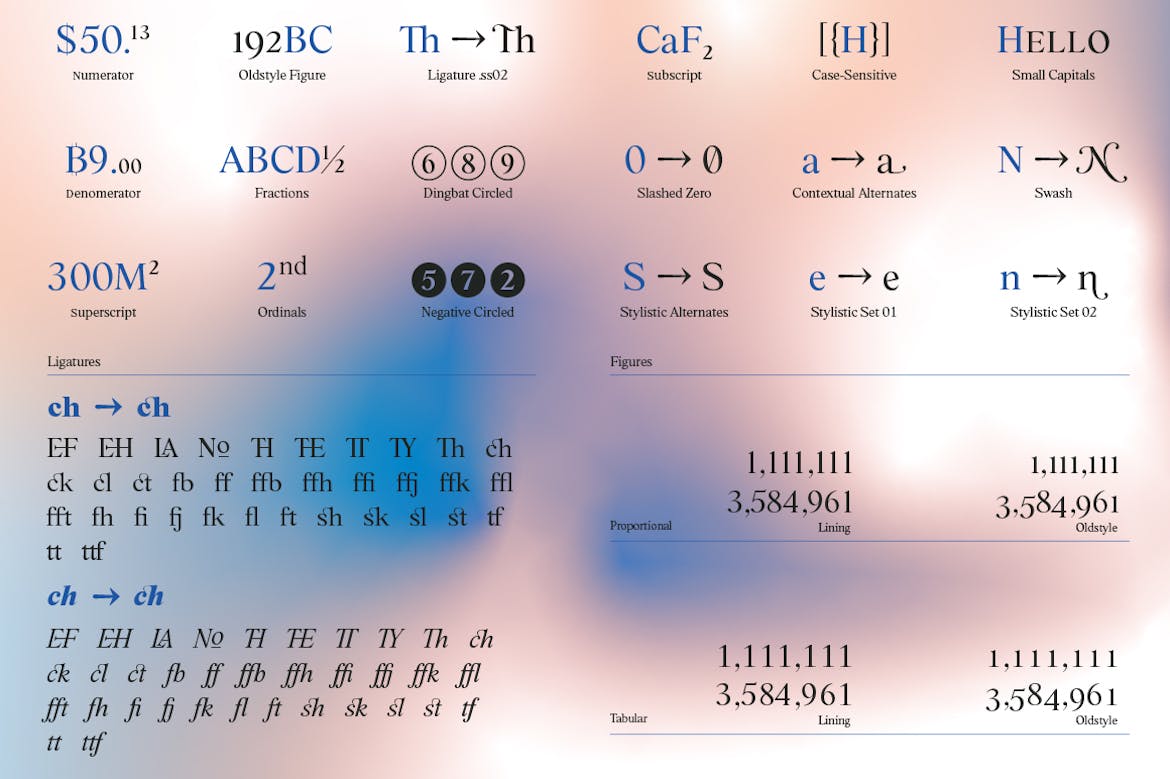 时尚复古海报标题徽标Logo设计衬线英文字体素材 BD Megalona | Text Serif Font Family插图12