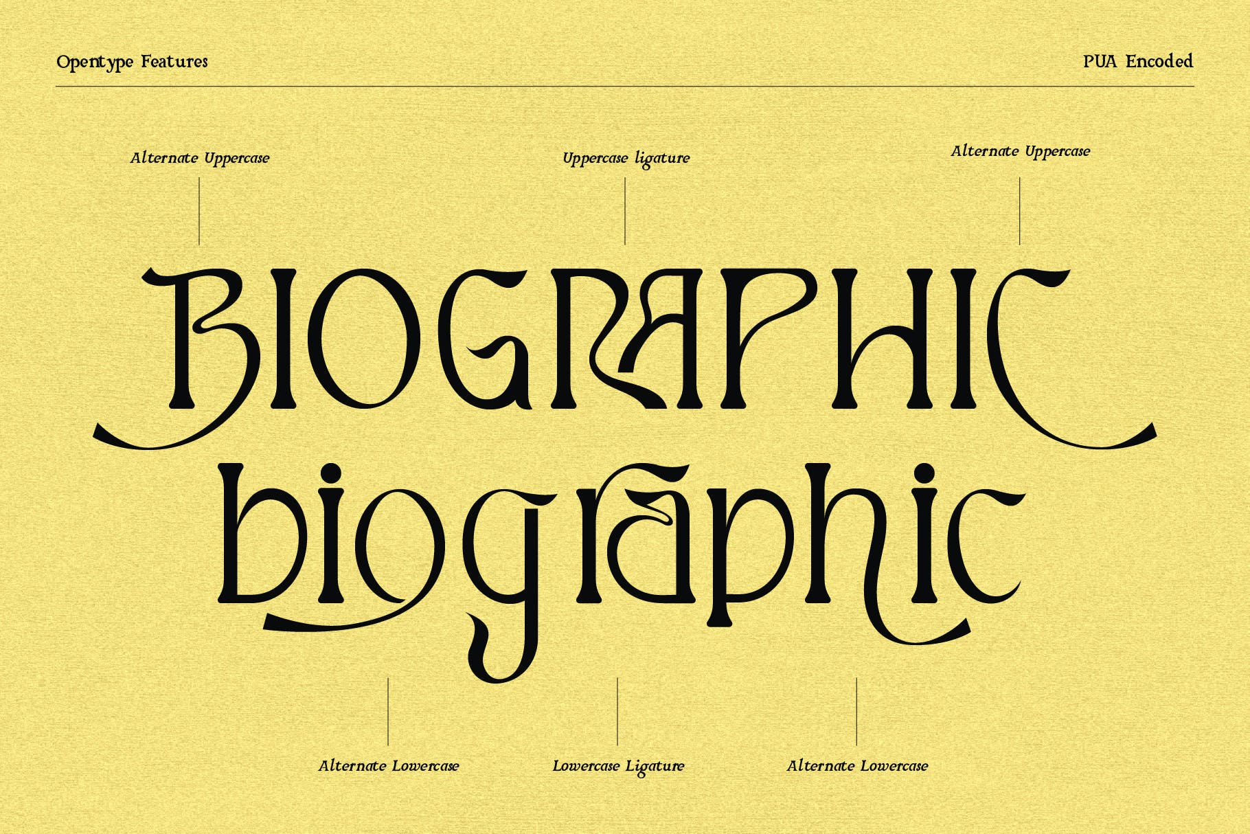 潮流波西米亚风格品牌标题标识设计衬线英文字体素材 glitcher