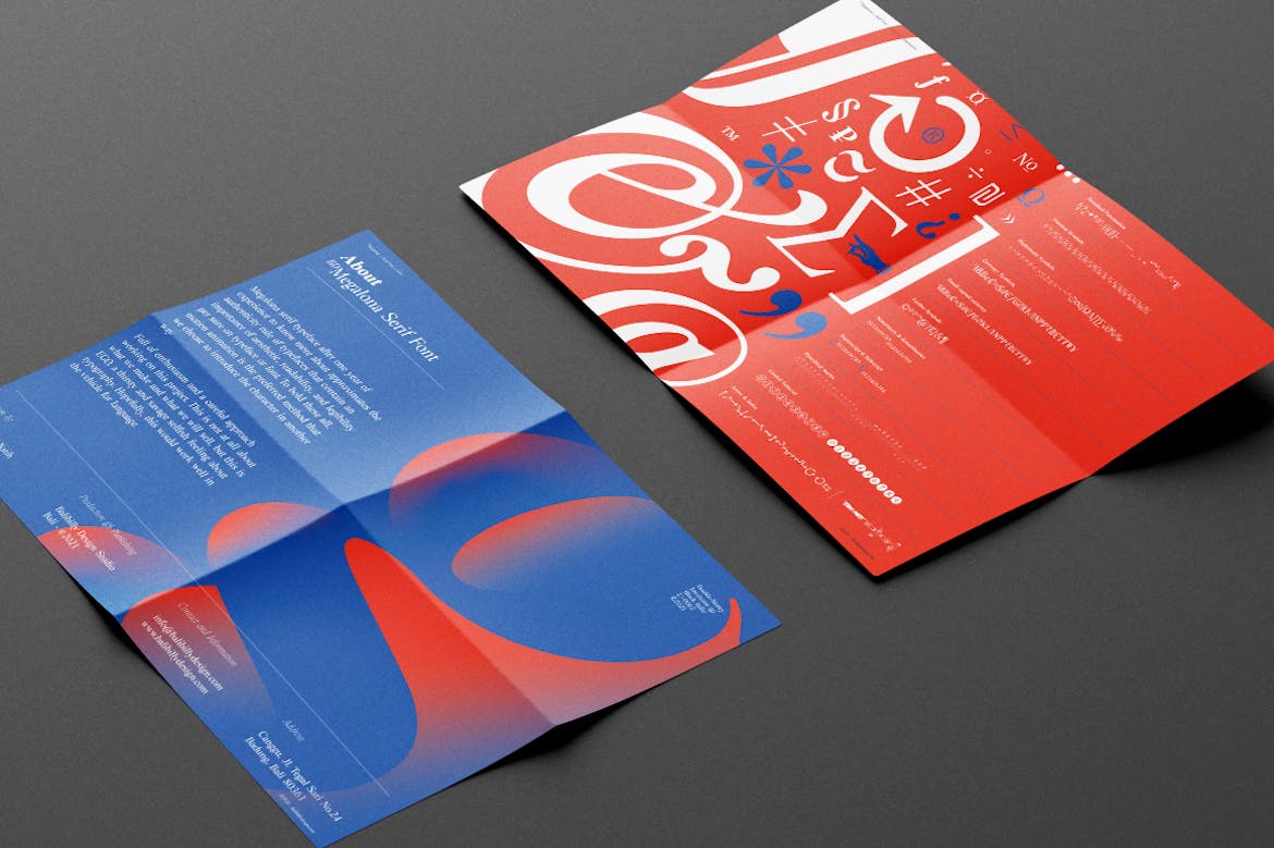时尚复古海报标题徽标Logo设计衬线英文字体素材 BD Megalona | Text Serif Font Family插图4