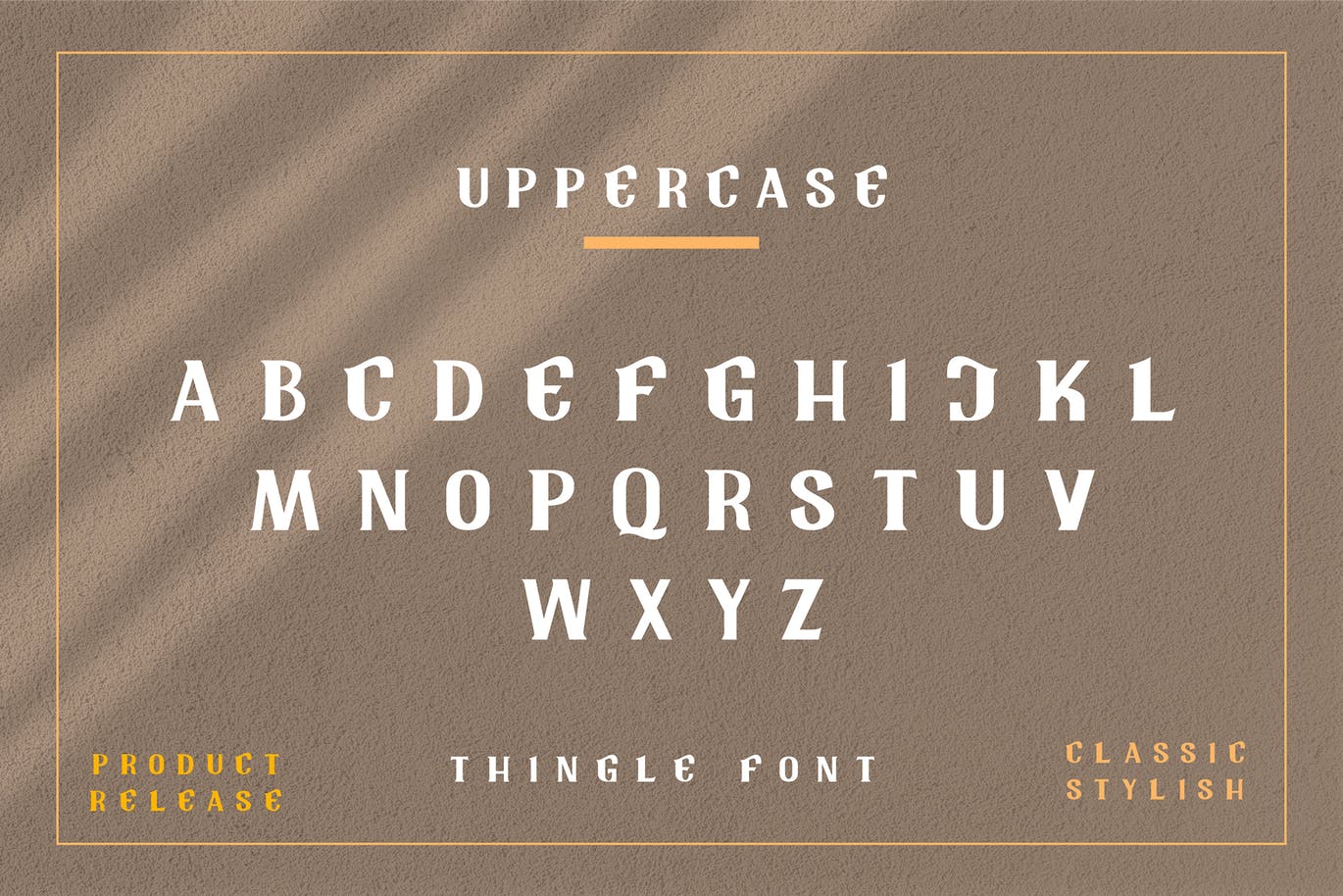 复古经典品牌徽标Logo海报标题设计衬线英文字体 Tingle Modern Classy Font插图6