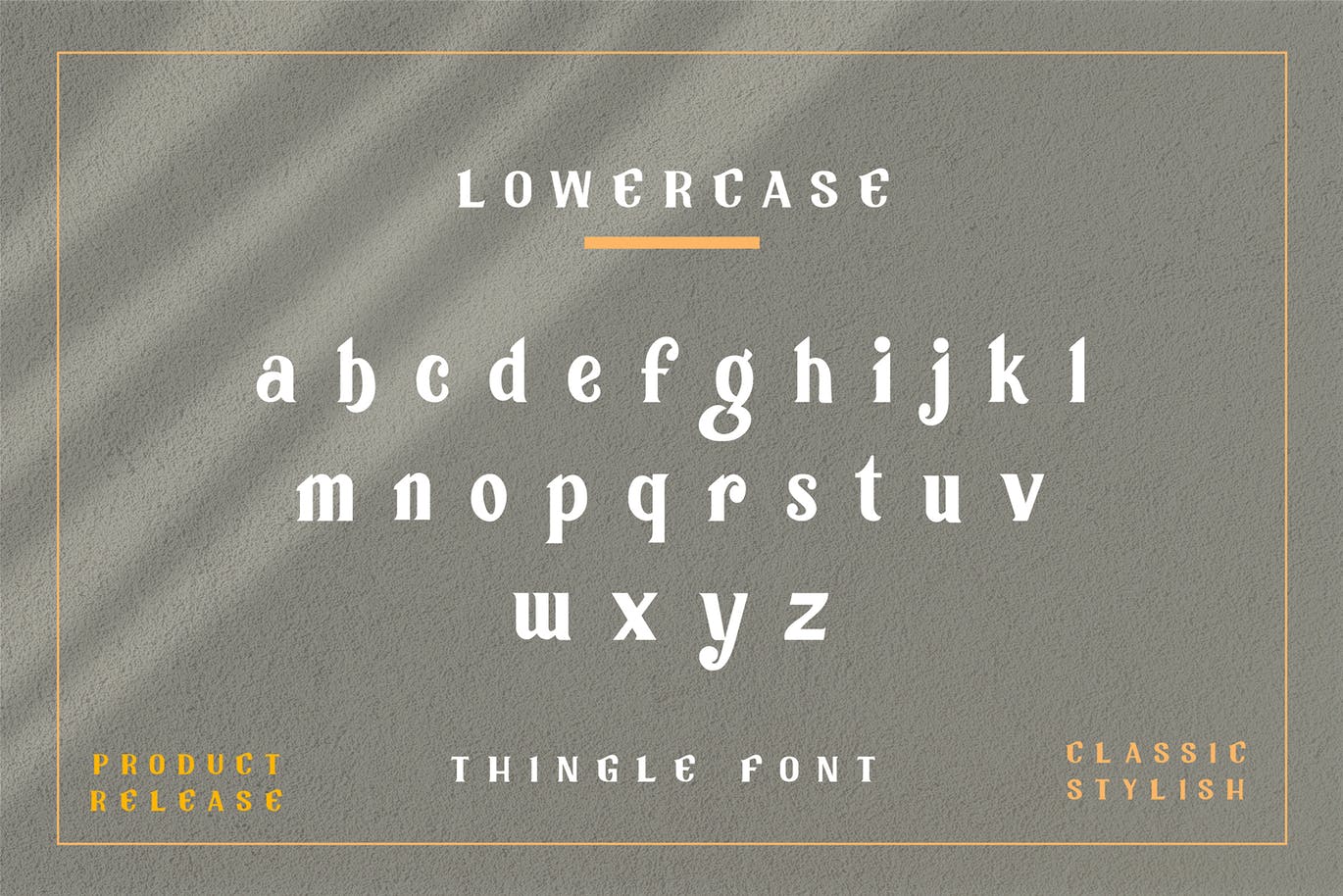 复古经典品牌徽标Logo海报标题设计衬线英文字体 Tingle Modern Classy Font插图7