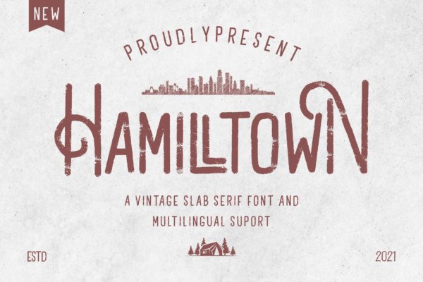 复古品牌标识徽标logo设计衬线英文字体 Hamilltown – Slab Serif Font