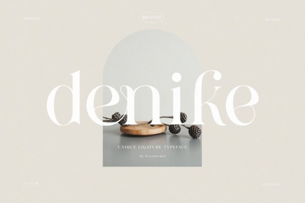 现代优雅品牌杂志徽标logo设计衬线英文字体 Denike – Stylish Modern Serif