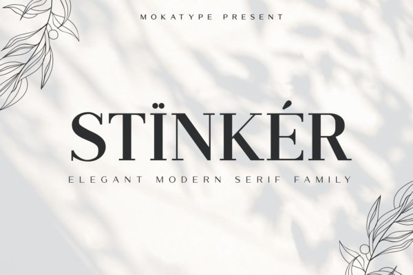 优雅简约品牌包装徽标设计衬线英文字体 Stinker – Elegant Serif Family