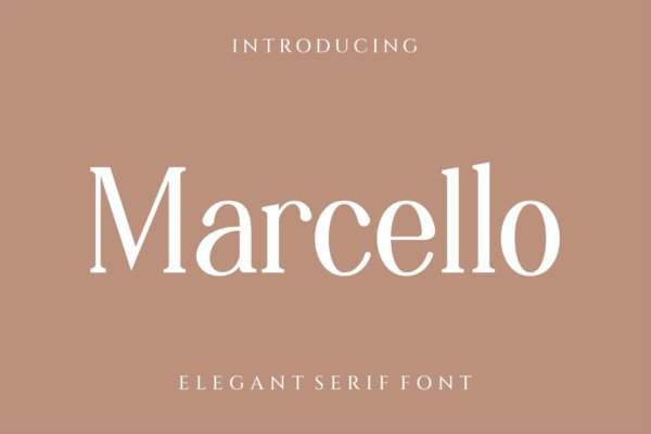 优雅怀旧杂志社交媒体徽标logo设计衬线英文字体 Marcello Serif Font