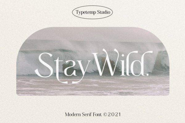 现代奢华杂志品牌徽标logo设计衬线英文字体 Stay Wild Serif Display