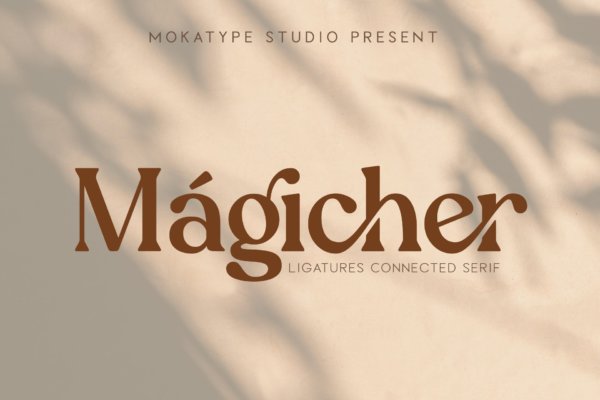 优雅品牌商标徽标logo设计衬线英文字体 Magicher – Ligatures Connected Serif