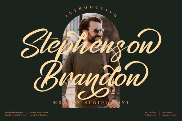 优雅海报品牌徽标logo设计衬线英文字体 Stephenson Brandon Script LS