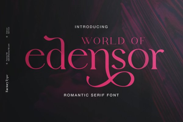 复古浪漫杂志海报徽标logo设计衬线英文字体素材 Edensor