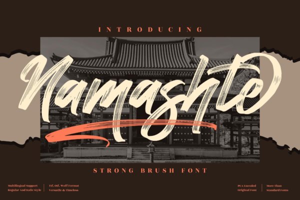 优雅海报品牌社交媒体设计衬线英文字体 Namashte Brush Font LS