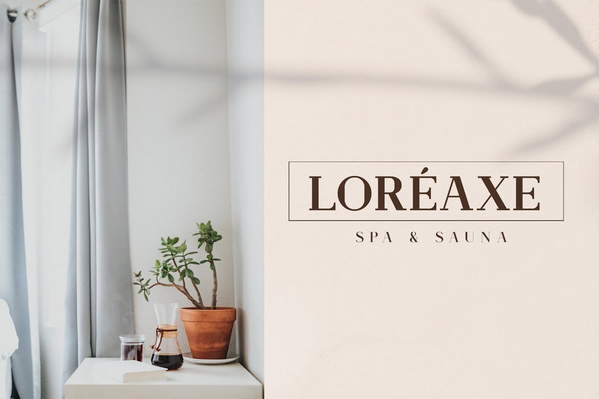 优雅简约品牌包装徽标设计衬线英文字体 stinker – elegant serif