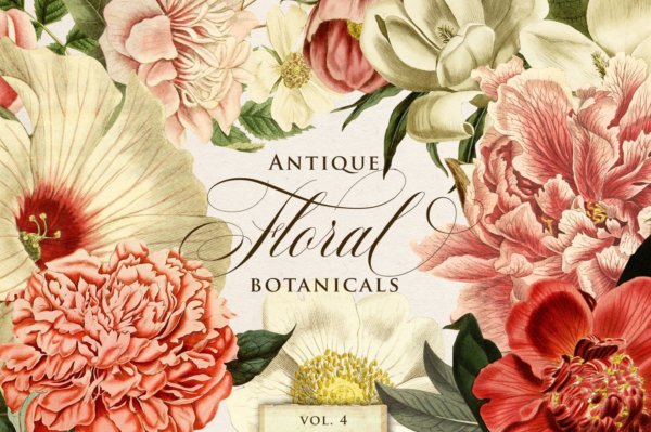 50款美丽复古花卉植物手绘水彩画PNG免扣图片设计素材 Antique Floral Botanical Graphics 4