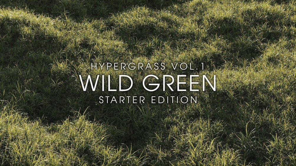 草地野草3D模型(FBX/OBJ格式)  Vertex Library – HyperGrass 01 WildGreen插图
