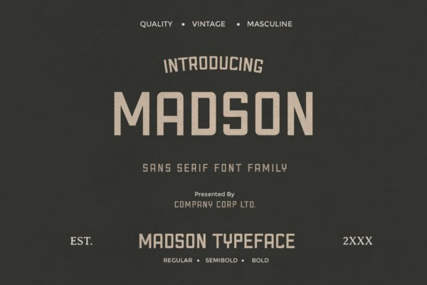 现代时尚杂志海报标题徽标Logo设计无衬线英文字体素材 Madson – Masculine Modern Typeface