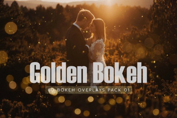 60款金色散景光斑曝光纹理PS叠加图片素材 60 Golden Bokeh Pack 01 lights