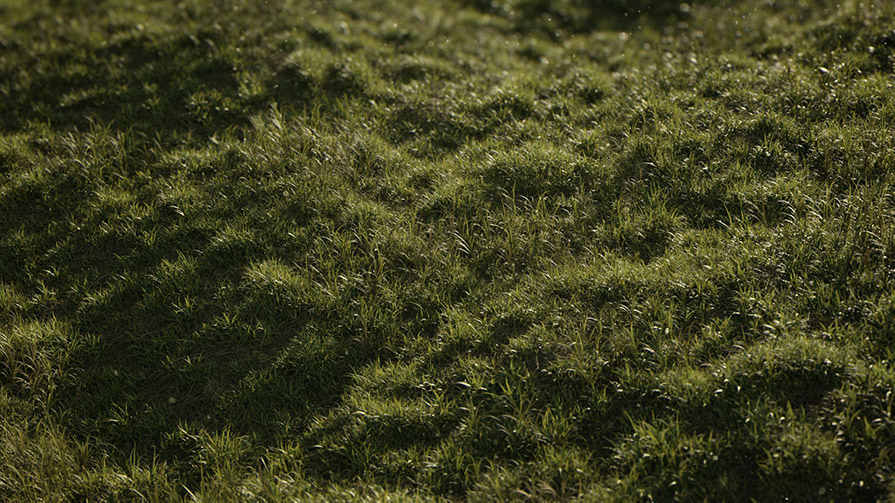 草地野草3D模型(FBX/OBJ格式)  Vertex Library – HyperGrass 01 WildGreen插图5